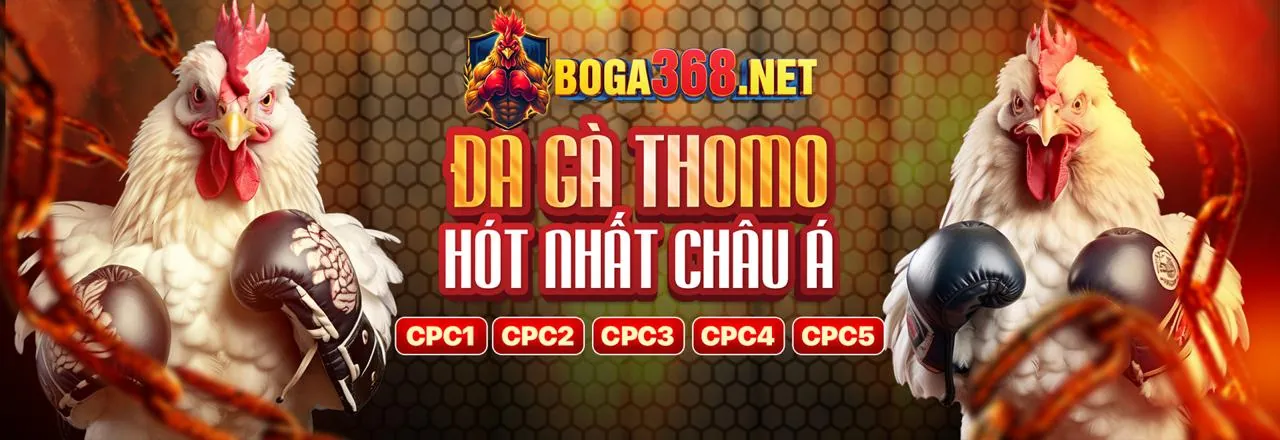 Hình nền đá gà C1 Thomo trực tiếp
